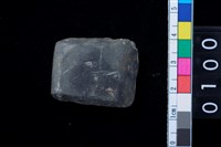 藏品(石錛)的圖片