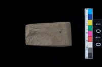 藏品(有段石錛)的圖片