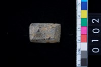 藏品(有段石錛)的圖片