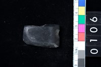 藏品(有段石錛)的圖片