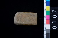 藏品(有段石錛)的圖片