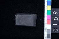 藏品(石錛)的圖片