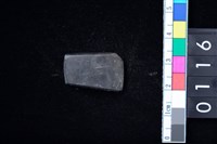 藏品(石錛)的圖片