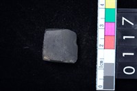 藏品(石錛)的圖片