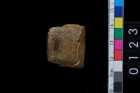 藏品(石錛)的圖片