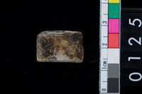 藏品(石錛)的圖片