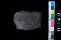 藏品(有段石錛)的圖片