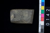 藏品(石錛)的圖片