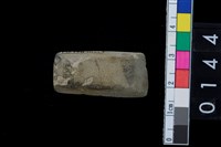 藏品(石錛)的圖片