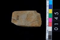 藏品(石錛)的圖片