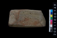 藏品(有段石錛)的圖片