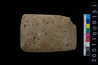 藏品(有段石錛)的圖片