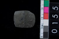 藏品(有段石錛)的圖片