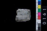 藏品(石錛)的圖片