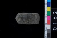 藏品(石錛)的圖片