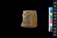 藏品(石錛)的圖片