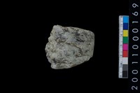 藏品(石錛)的圖片