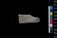 藏品(石錛)的圖片