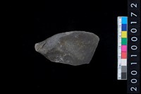 藏品(石錛)的圖片