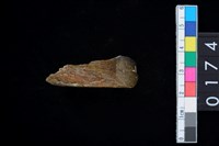 藏品(石錛)的圖片