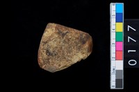 藏品(石錛)的圖片