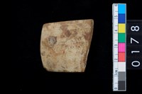 藏品(石錛)的圖片