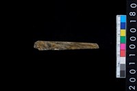 藏品(玉錛)的圖片