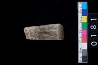 藏品(石鑿)的圖片