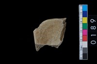 藏品(石錛殘件)的圖片