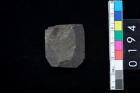 藏品(石錛)的圖片