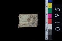 藏品(玉錛殘件)的圖片