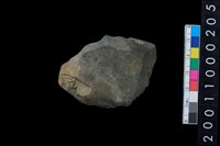 藏品(石錛殘件)的圖片