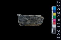 藏品(石錛殘件)的圖片