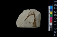 藏品(石錛殘件)的圖片