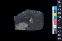 藏品(石錛殘件)的圖片