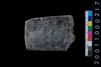 藏品(石錛)的圖片