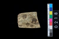 藏品(石錛)的圖片