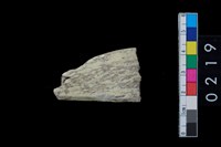 藏品(玉錛殘件)的圖片