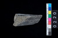 藏品(石錛殘件)的圖片