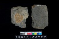 藏品(石錛殘件)的圖片