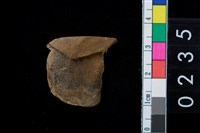 藏品(石錛殘件)的圖片