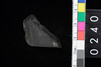 藏品(石錛殘件)的圖片