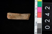 藏品(石鑿)的圖片