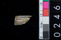 藏品(石錛殘件)的圖片