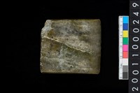 藏品(有段石錛)的圖片