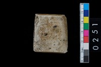 藏品(有段石錛)的圖片