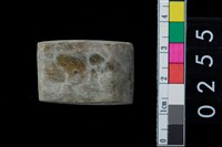 藏品(石錛)的圖片