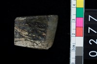 藏品(石錛)的圖片