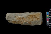 藏品(石錛)的圖片