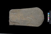 藏品(磨製石斧)的圖片